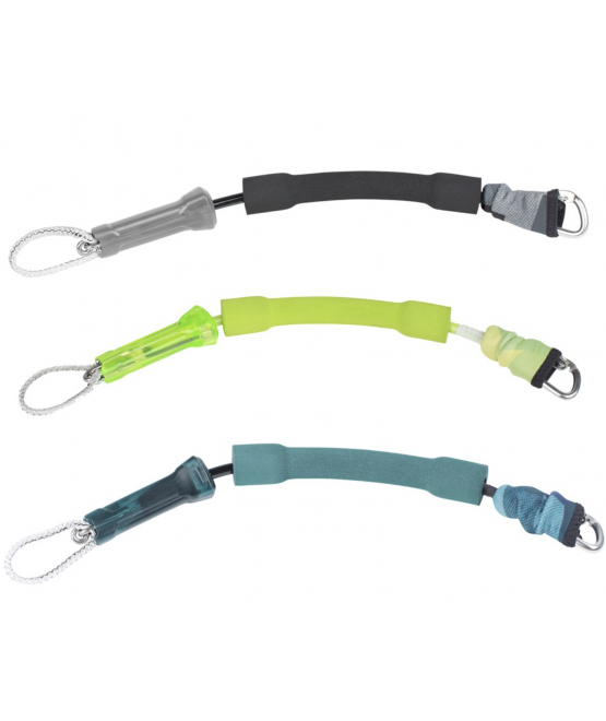Ion - short leash