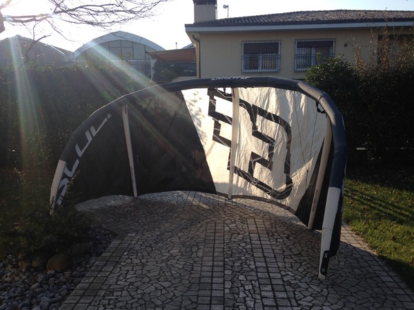 Crazyfly - sculp