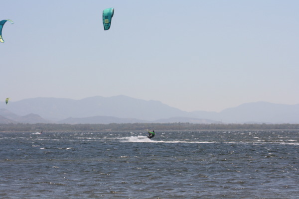 North - DICE 2015 12mt + barra