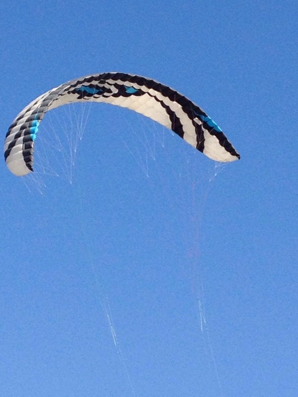 Flysurfer - Speed 4 lotus