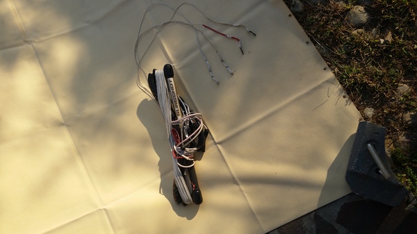 Slingshot - compstick