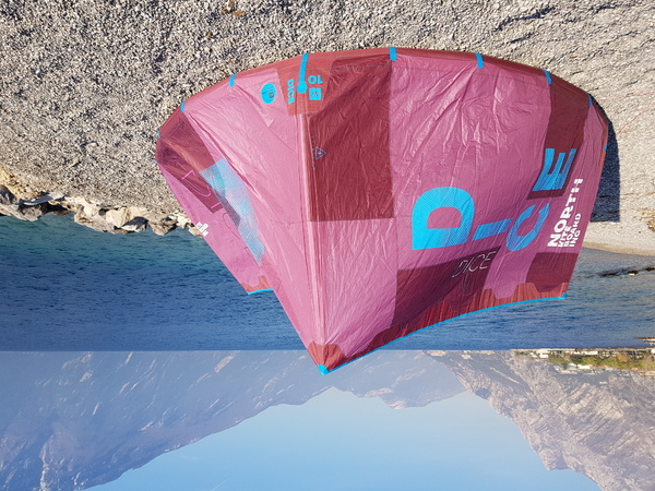 North - Dice 10 2018 -50%