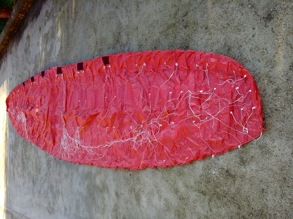 Tunafish -