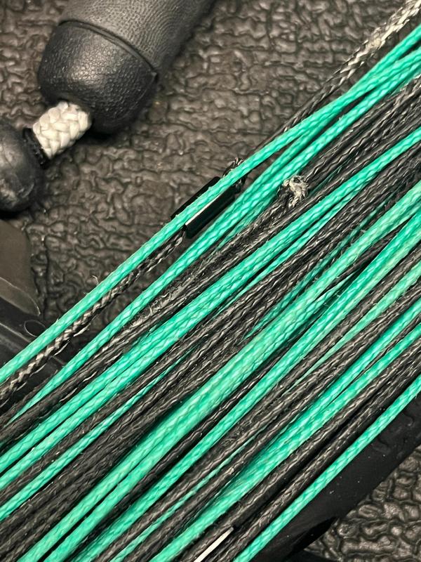 North - NAVIGATOR 2024