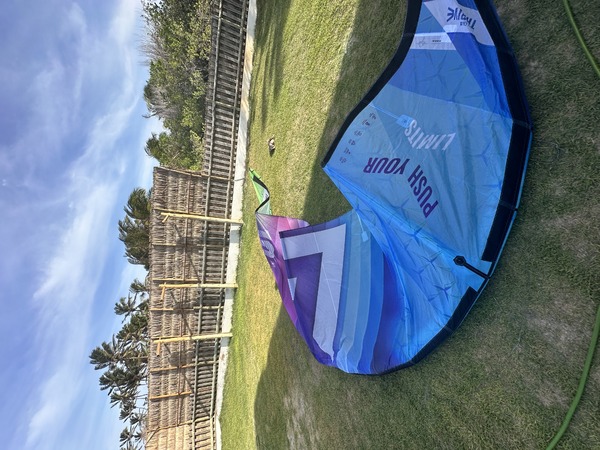 altra - Harlem Trhive 2025