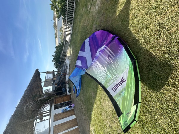 altra - Harlem Trhive 2025