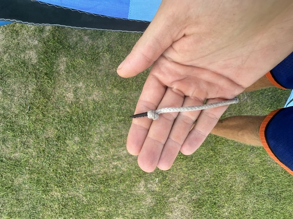 altra - Harlem Trhive 2025