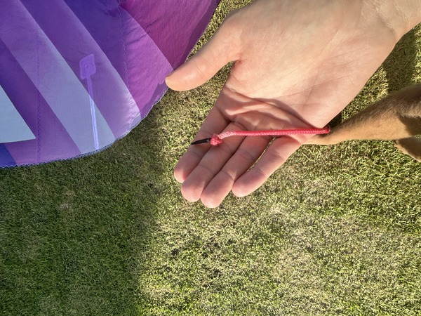 altra - Harlem Trhive 2025