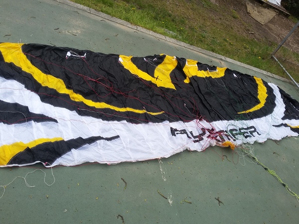 Flysurfer - Speed 4 dlx