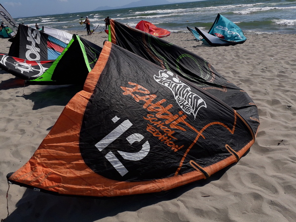 Wainman Hawaii - Rabbit school edition 12 mt