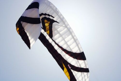 Flysurfer - Speed 4 lotus