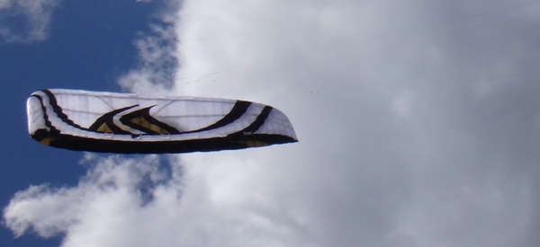 Flysurfer - Speed 4