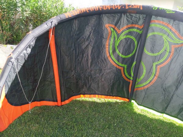 Wainman Hawaii - Rabbit 9 School Edition
