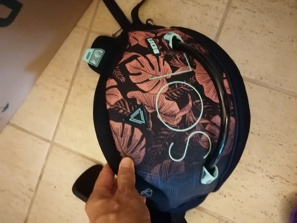 Ion - SOL