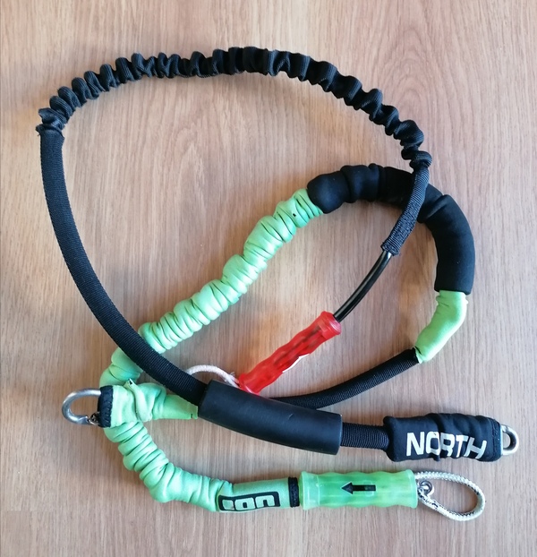 Ion - Leash
