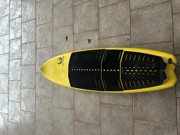 Appletree Surfboards - Malus domestica