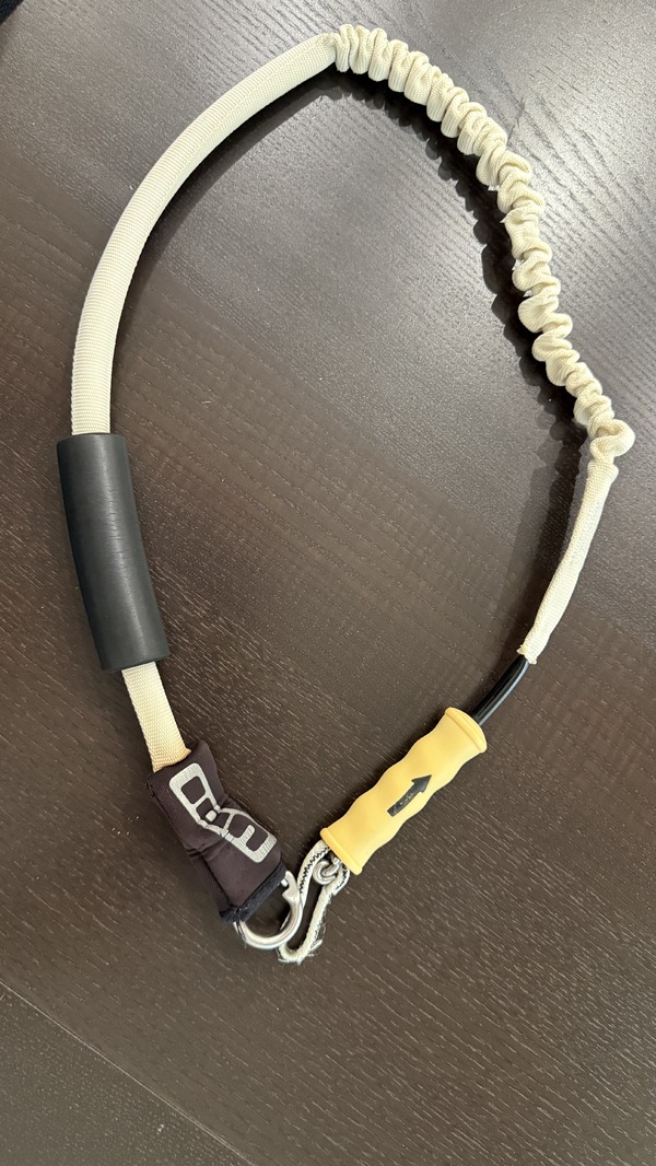 Ion - Leash