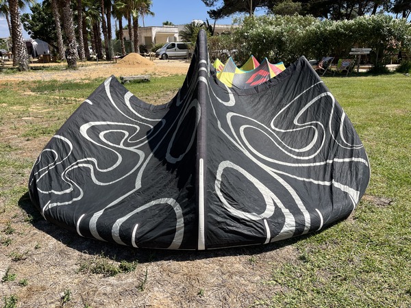 Wainman Hawaii - Rabbit