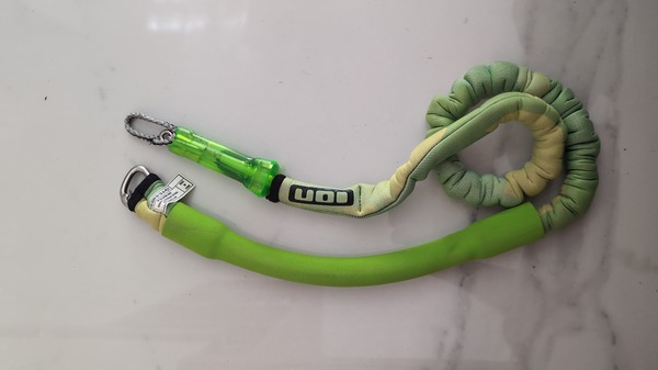 Ion - Leash