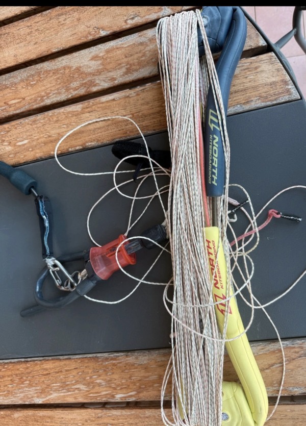 North - Trust Bar 2017