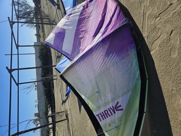 altra - harlem trive