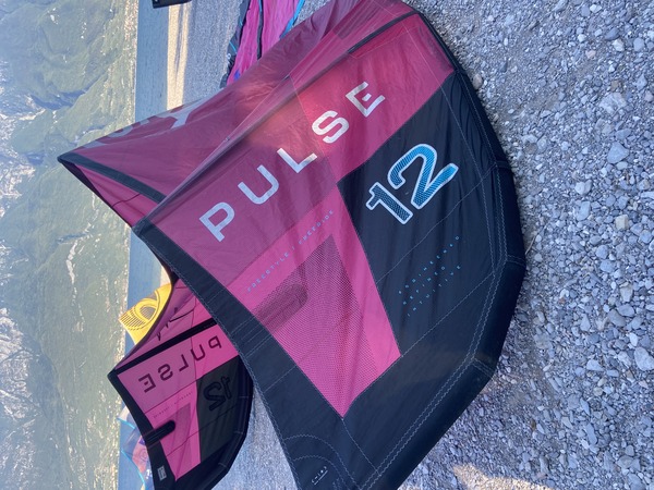 North - Pulse 2024