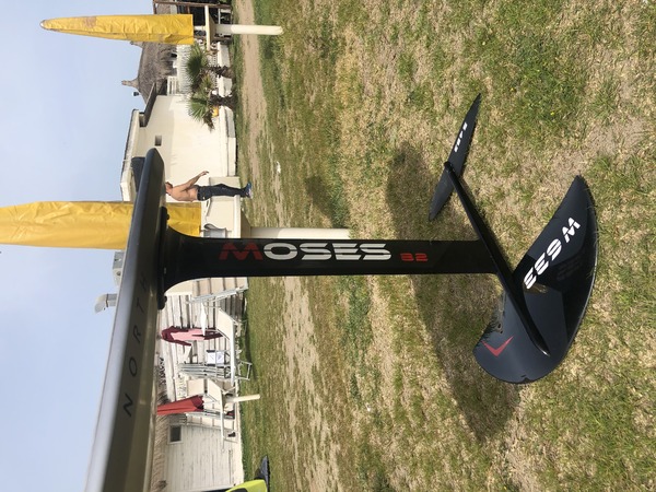 Moses - W 633 S 483 Mast 82