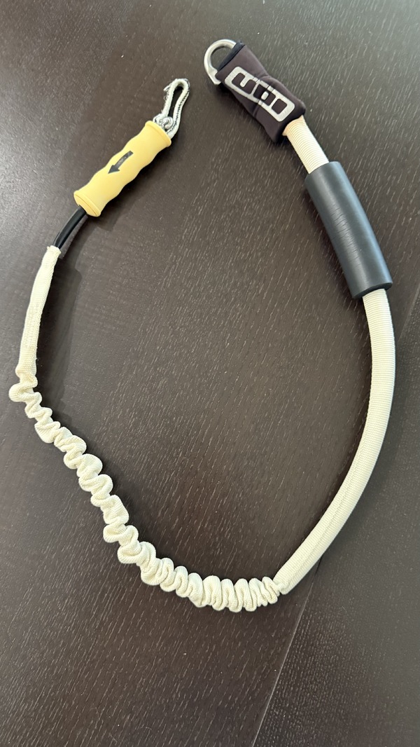 Ion - Leash