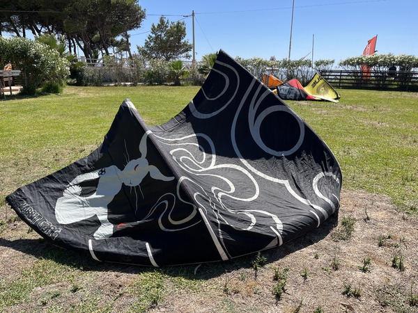 Wainman Hawaii - Rabbit