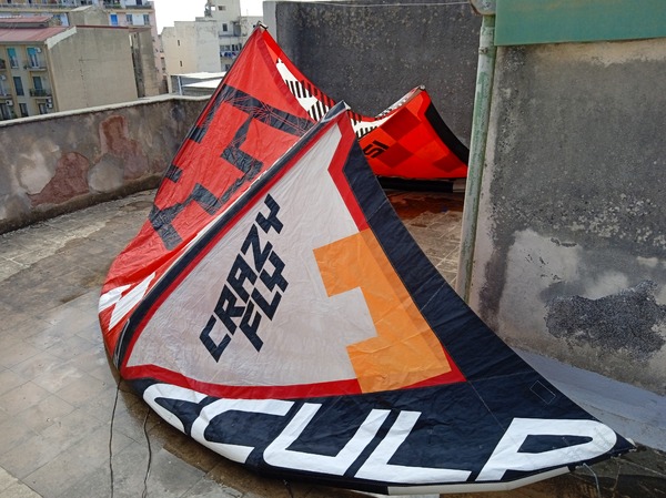 Crazyfly - sculp