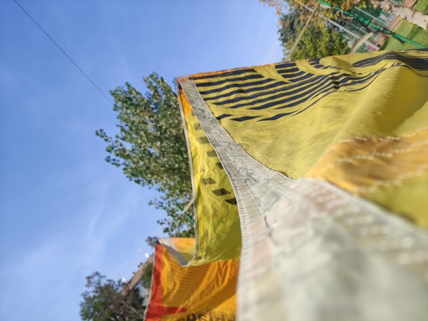 Cabrinha - Cabrinha Switchblade 