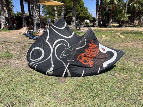 Wainman Hawaii - Rabbit