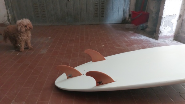 Cabrinha - surfino 5.6"