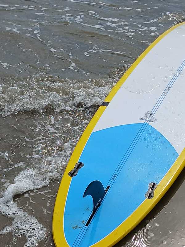 altra - SIC SWINDLER