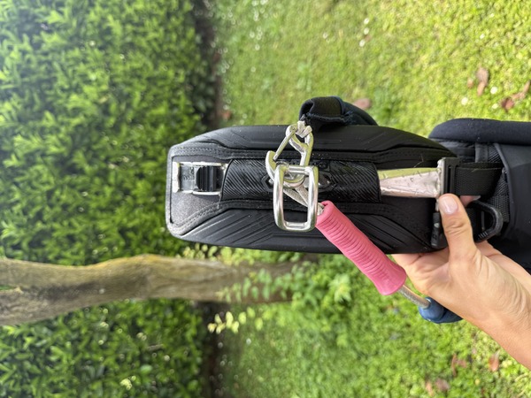 Mystic - Mystic diva