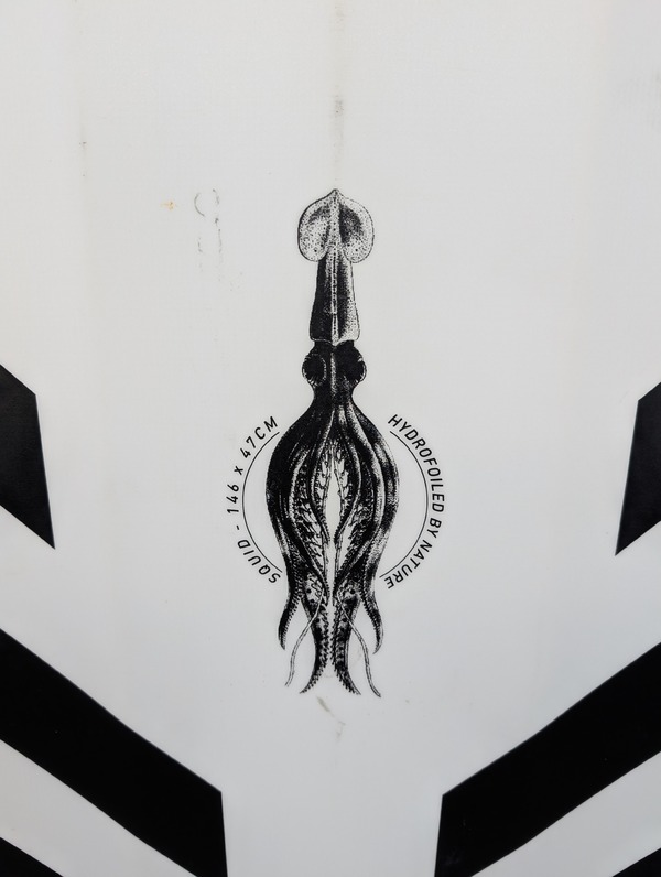 Rrd - SQUID 146x47