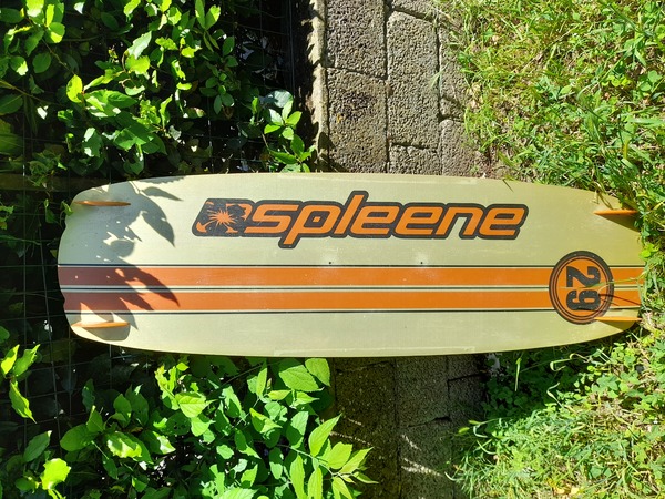 Spleene - Rip 29