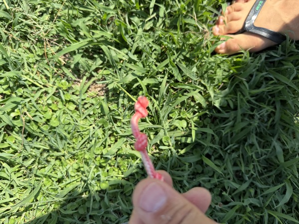 Slingshot - Code v2 12mq