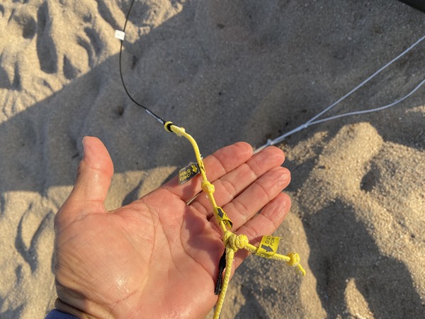 Cabrinha - Contra 1S