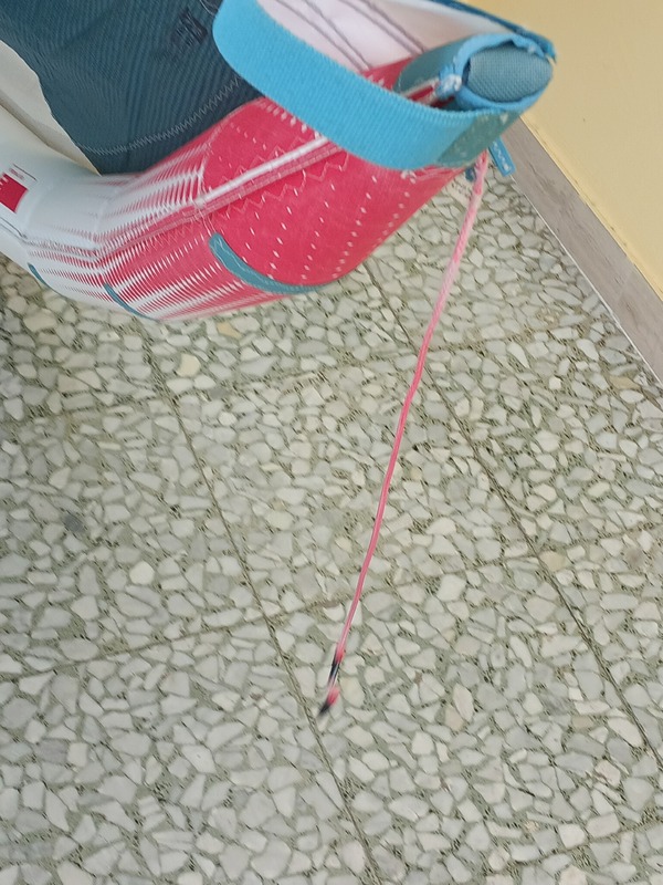 Eleveight - Eleveight RS + 14mq 2023