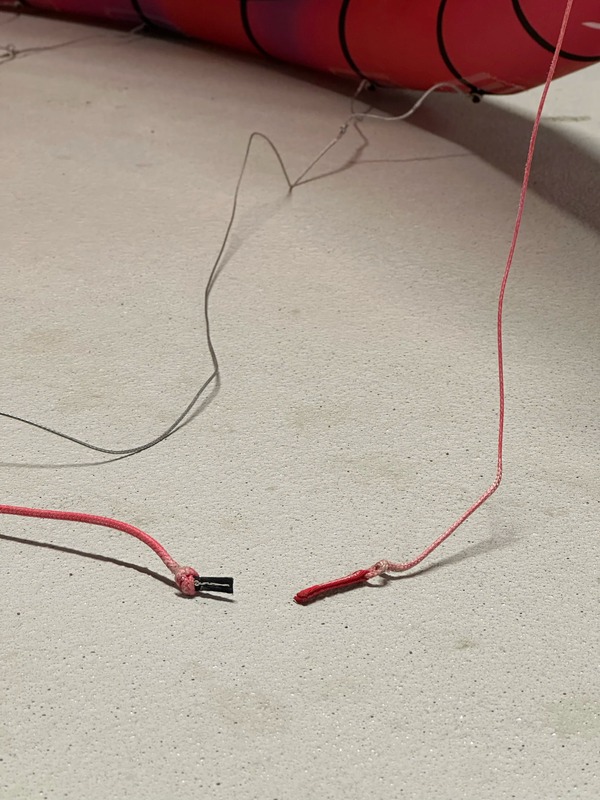 F-One - Trigger Brainchild