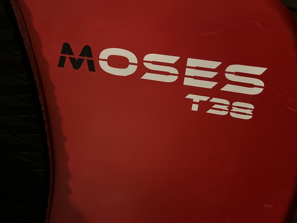 Moses - T38