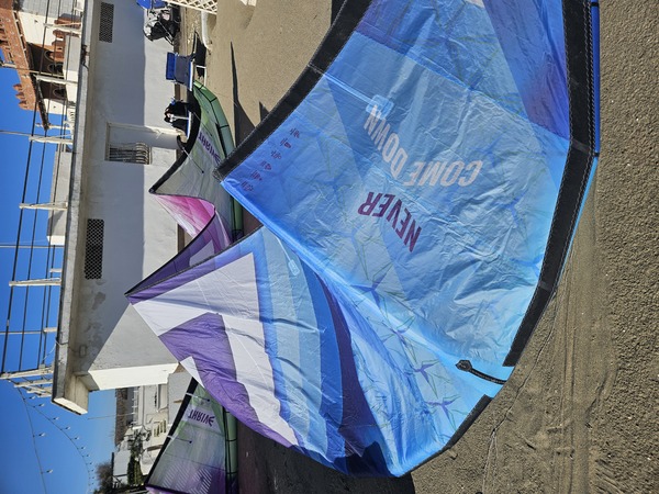 altra - harlem trive