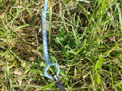 Naish - Naish Pivot 2025