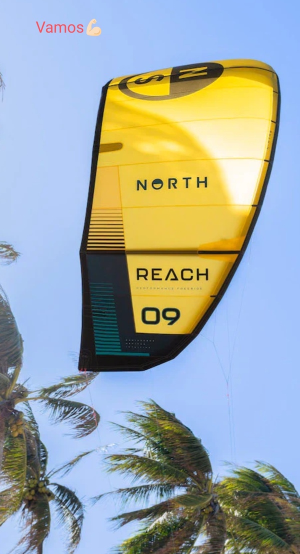 North - Reach 2024