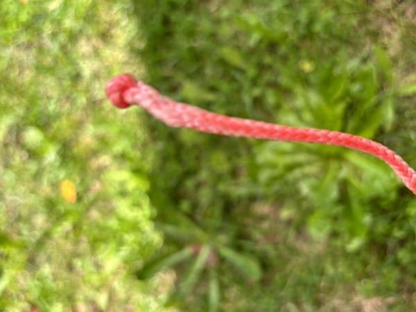 Duotone - EVO SLS 8 DEL 2021