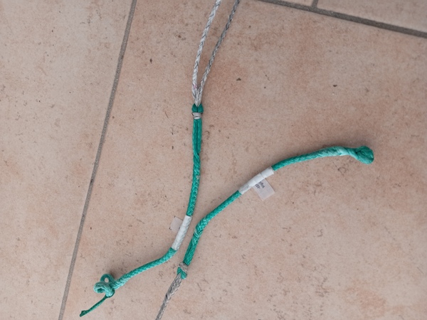 North - Orbit Pro 2025 8.1