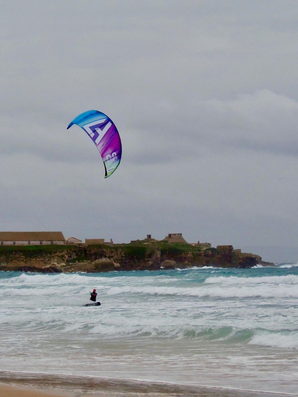 altra - Harlem Thrive 8mq 2025