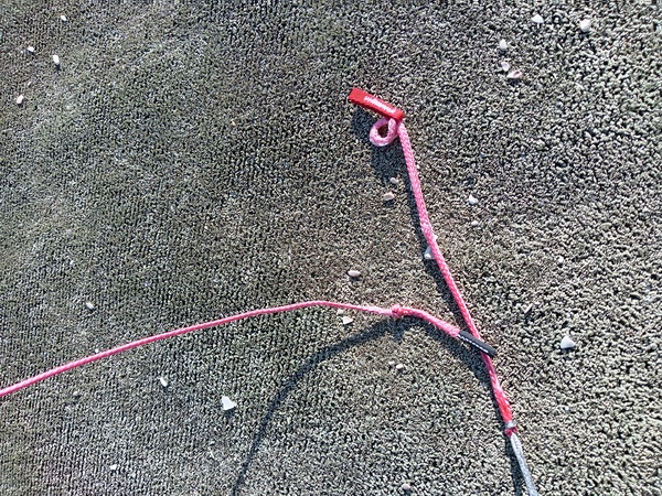 Reedin - Hypermodel 9 2025 