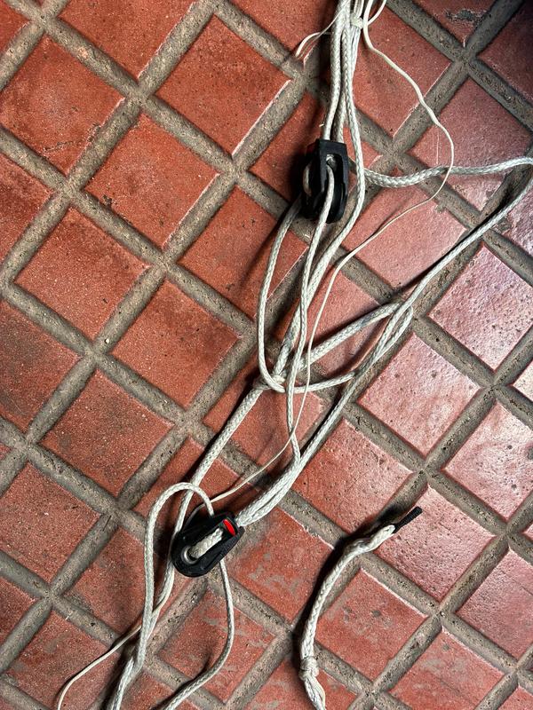 Peter Lynn - Snowkite Lynx 5